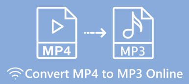 MP4 zu MP3