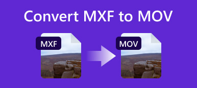 Konvertieren Sie MXF in MOV