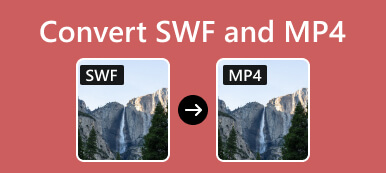 Convert SWF and MP4