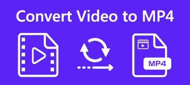 Convert video to MP4