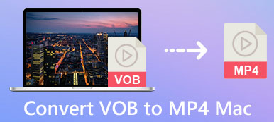 Converteer VOB naar MP4 Mac