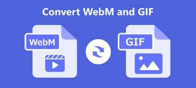 Konvertera WebM och GIF