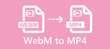 WebM on MP4