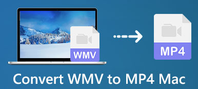 Konverter WMV til MP4 på Mac