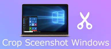 Snijd Screenshot Windows bij