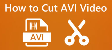 AVIビデオファイルをカットする方法