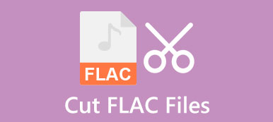 Schneiden Sie FLAC-Dateien