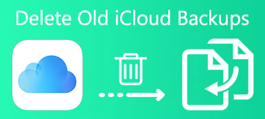 Verwijder oude iCloud-back-ups