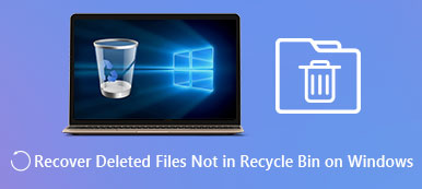 Deleted Files not in Recycle Bin