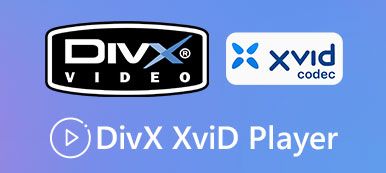 Divx xvid lejátszó