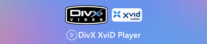 XVID Video Codec-spelare