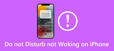 Stör ej Fungerar inte på iPhone