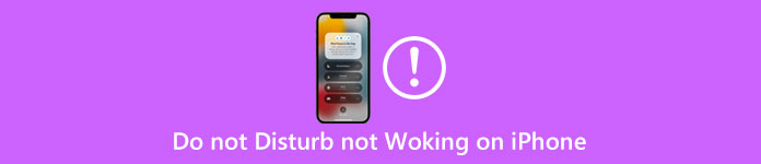 Do not Disturb not Working on iPhone