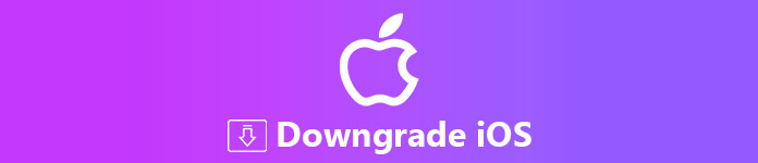 downgrade iOS