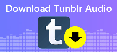 How To Download Tumblr Audio On Pc Iphone With High Quality Easily