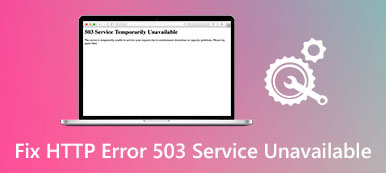 error 503