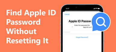 Najděte heslo Apple ID bez jeho resetování