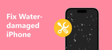 Riparare l'iPhone danneggiato dall'acqua