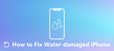 Reparar el iPhone dañado por el agua