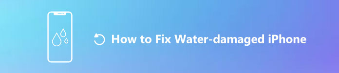Fix vattenskadad iPhone