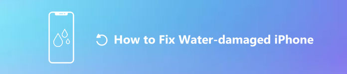 Fix Water Damaged iPhone