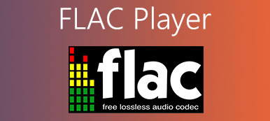 FLAC Player