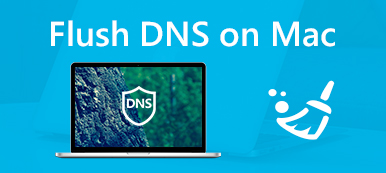 Очистить кэш DNS