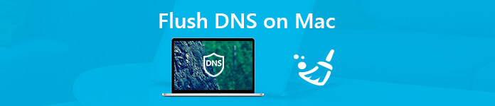 Очистить кэш DNS