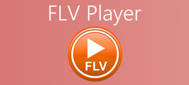 FLV player