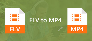 FLV to MP4