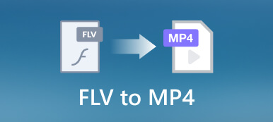 FLV till MP4