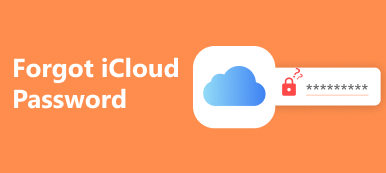 Glömt iCloud-lösenordet