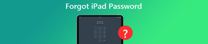 Forgot iPad Password