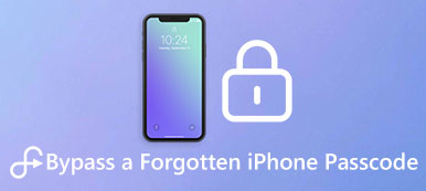 Glömt iPhone-lösenord