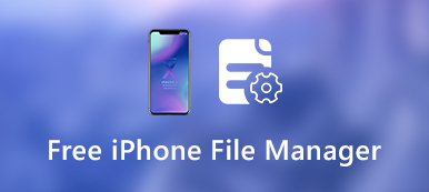 Бесплатный файловый менеджер iPhone