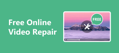 Reparar archivos de vídeo en línea