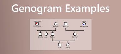 Exemples de génogrammes