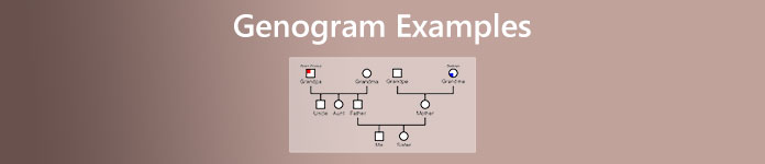 Exemples de génogrammes