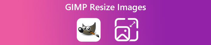 GIMP Resize Image