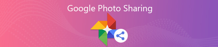 Partage de photos Google