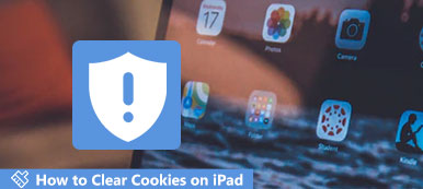 Supprimer les cookies sur iPad