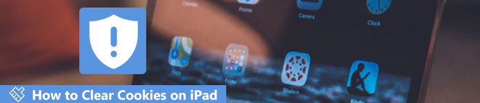 Удалить куки на iPad