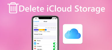 Löschen Sie iCloud Storage auf dem iPhone