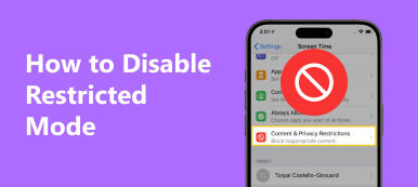 How to Disable Restricted Mode