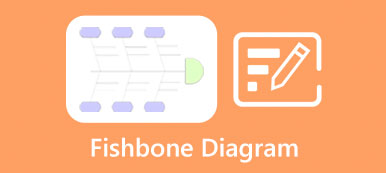 Halcsont diagram