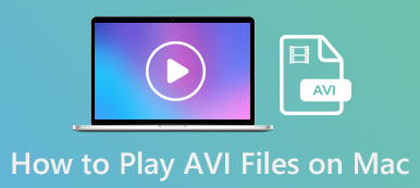How to Play AVI Files on Mac