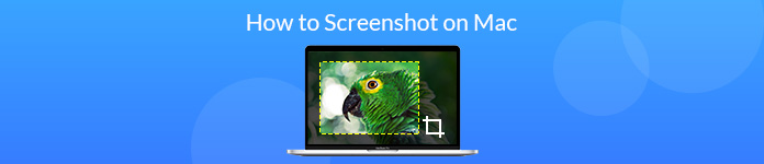 Hoe screenshot op Mac