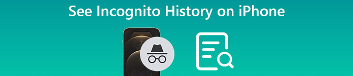 How to See Incognito History on iPhone