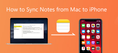 Sync Notes
