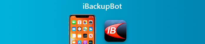 Bot de Ibackup